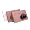 Clothing airplane boxes color corrugated boxes Wholesale