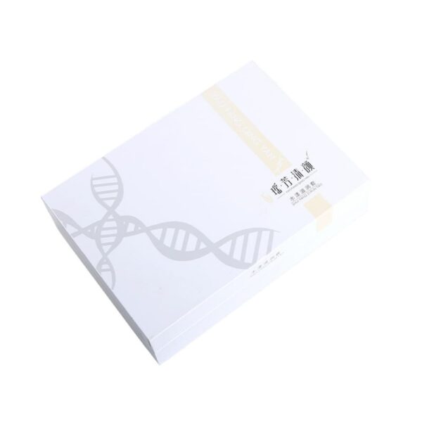 Customized Products Cosmetics Paper Packaging Box Custom
