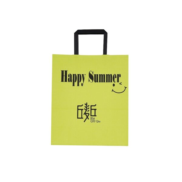 ECO friendly custom printed logo Paper Gift Bags Dealer