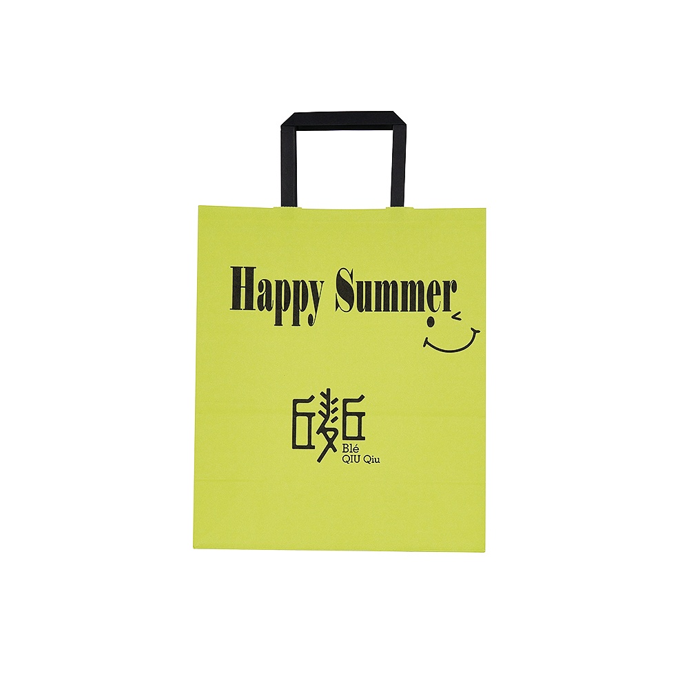 ECO friendly custom printed logo Paper Gift Bags Dealer