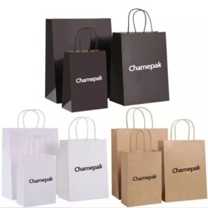 custom packaging bag wholesale Paper Gift Bags Distributor