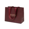 Paper Gift Bags