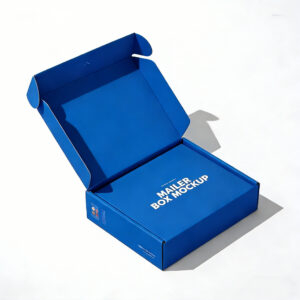 Blue Printed Corrugated Mailer Box for Ecommerce Shipping