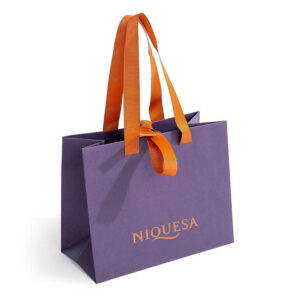 Foil Stamped Boutique Paper Gift Bag with Ribbon Handles