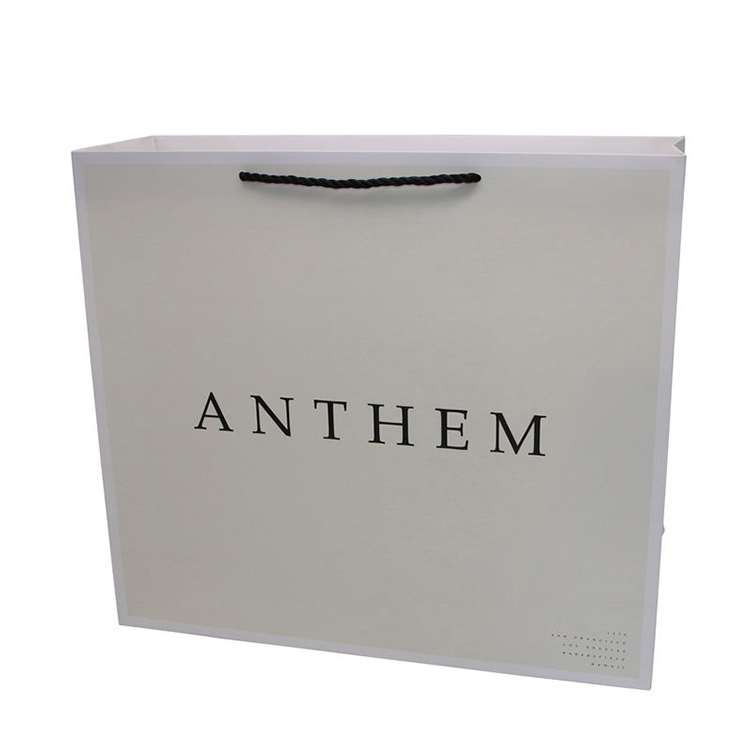 Paper Shopping Bags with Handles (Laminated Paper Bags)