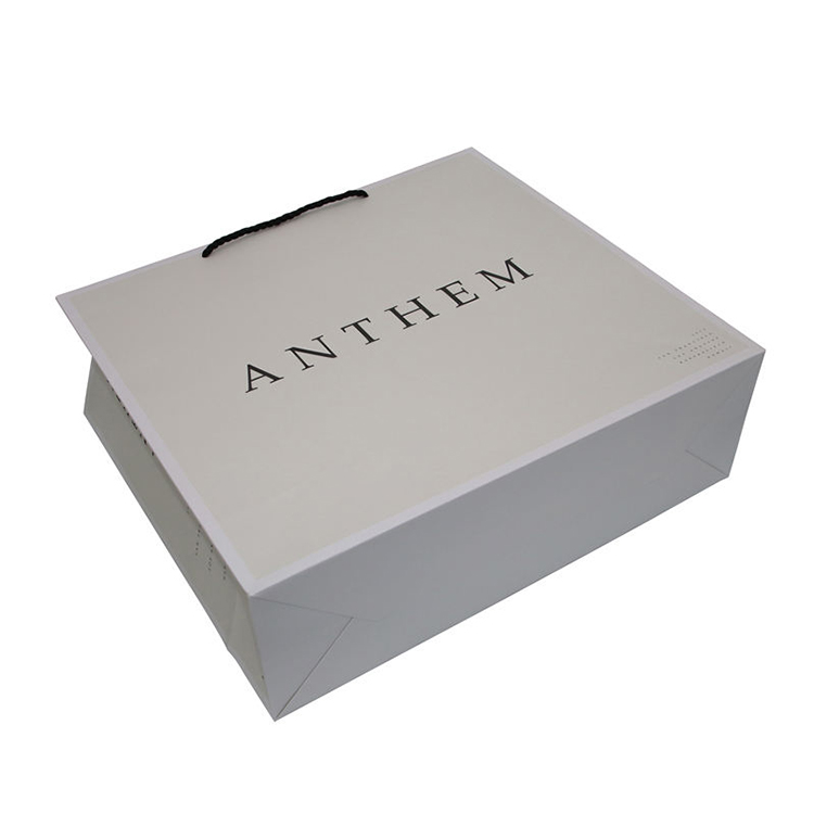 Paper Shopping Bags with Handles (Laminated Paper Bags)