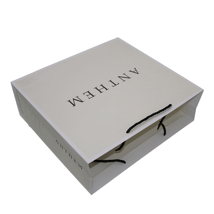 Paper Shopping Bags with Handles (Laminated Paper Bags)