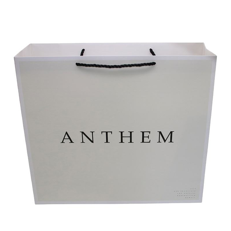 Paper Shopping Bags with Handles (Laminated Paper Bags)
